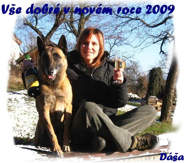 dasa