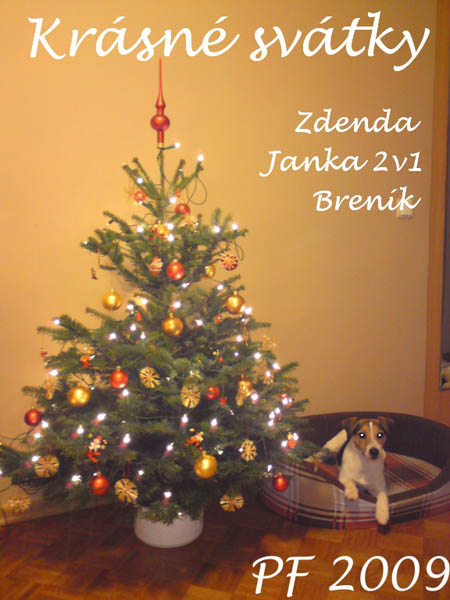 janca