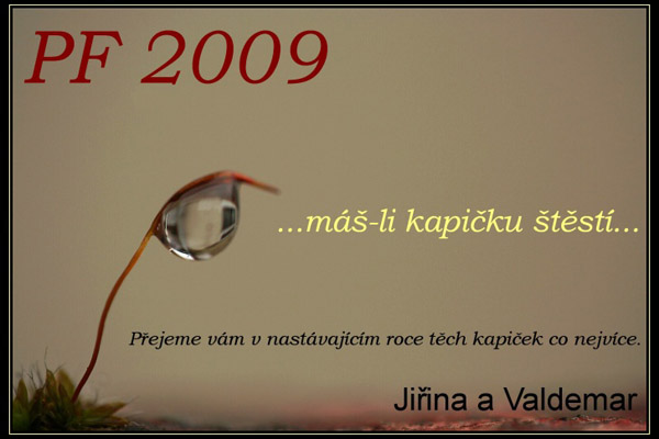 jirina