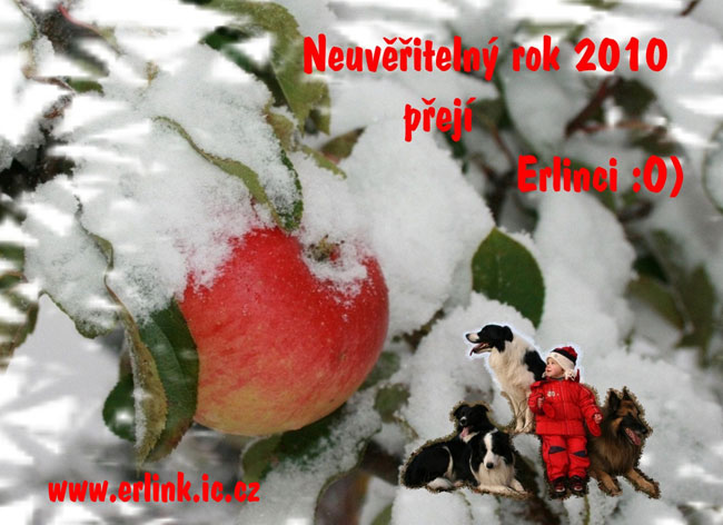 ErlinkPF2010
