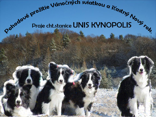 kynopolis