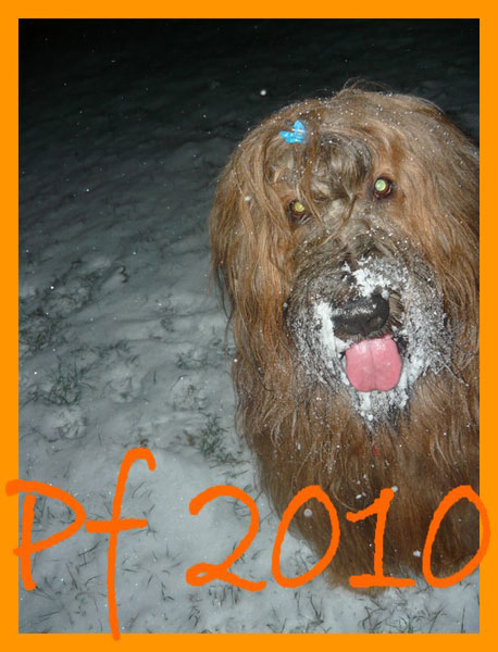 pf2010_verka