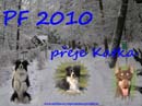 P2241733-3_katka