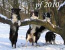 PF2010_Lsmecka