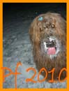 pf2010_verka