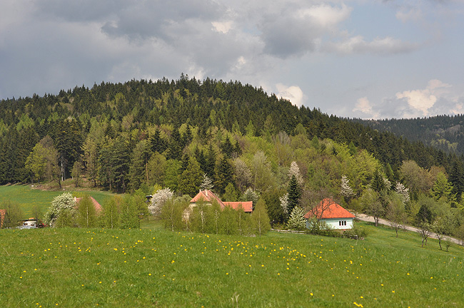 DSC_1223