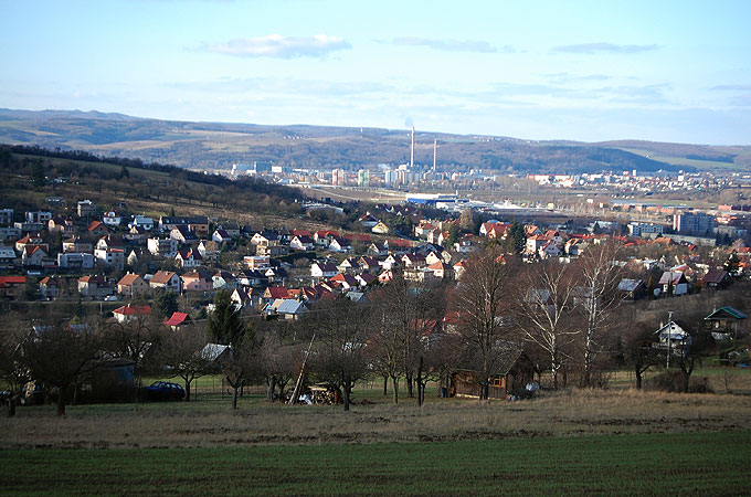 DSC_0444