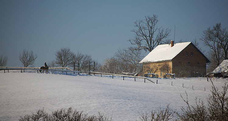 DSC_1945