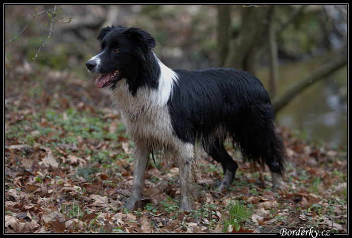 Pruhonice_039