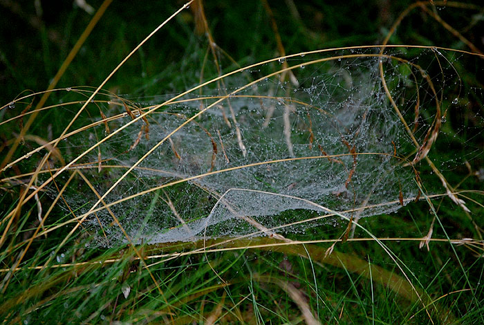 DSC_0213
