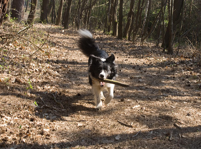 DSC01298_resize