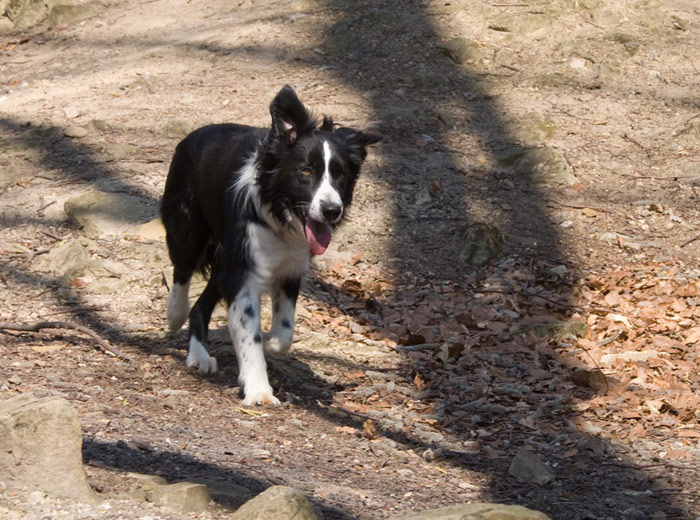 DSC01332_resize