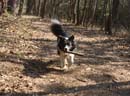 DSC01298_resize