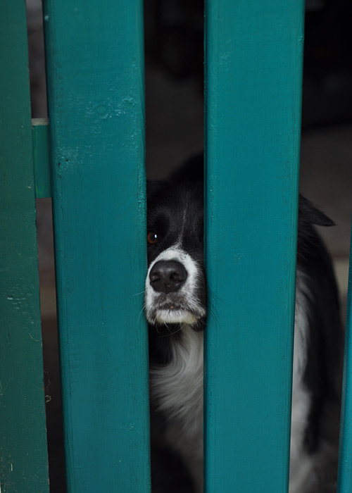 DSC_0655