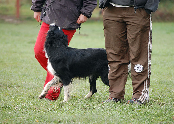 DSC_1726