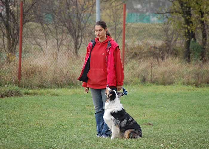 DSC_1809